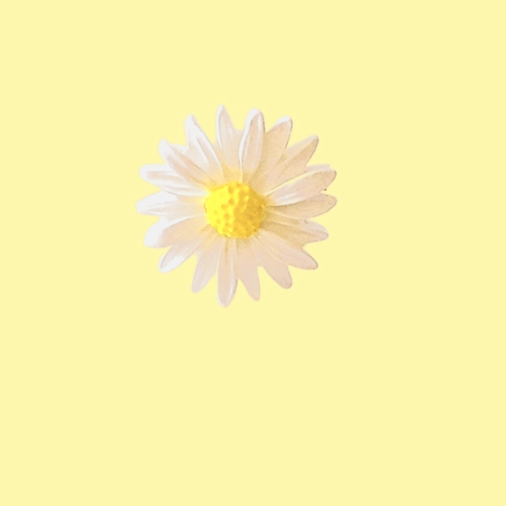 NEW Daisy Spin Ring  Sizes 7-8